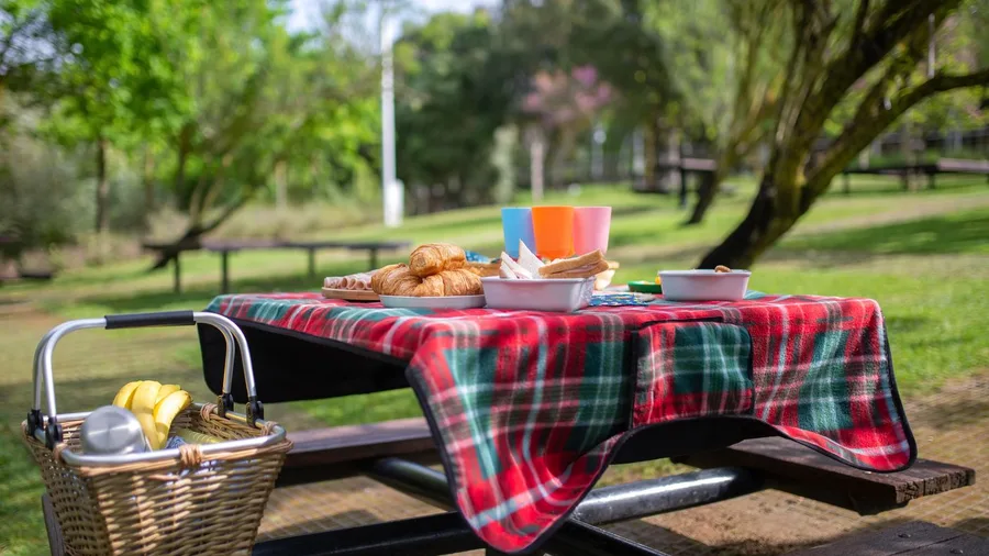 Zero-Cost Weekend Routines Eliminate Entertainment Costs