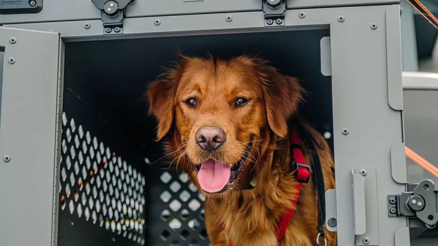 Pet Crates and Travel Carriers