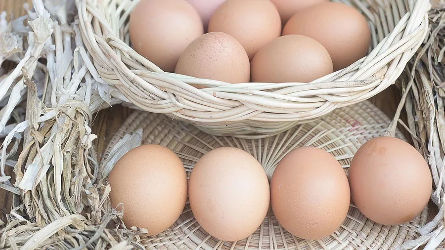 Broad Index Funds Offer Better Capital Preservation Through Pure Diversification
